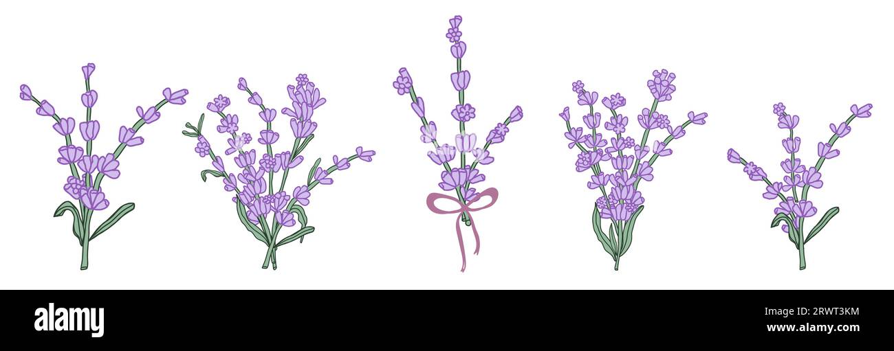 Lavendelfarbener Blumenstrauß für die Gestaltung von Karten oder Einladungen. Handgezeichnete Vektor-Illustrationen. Stock Vektor