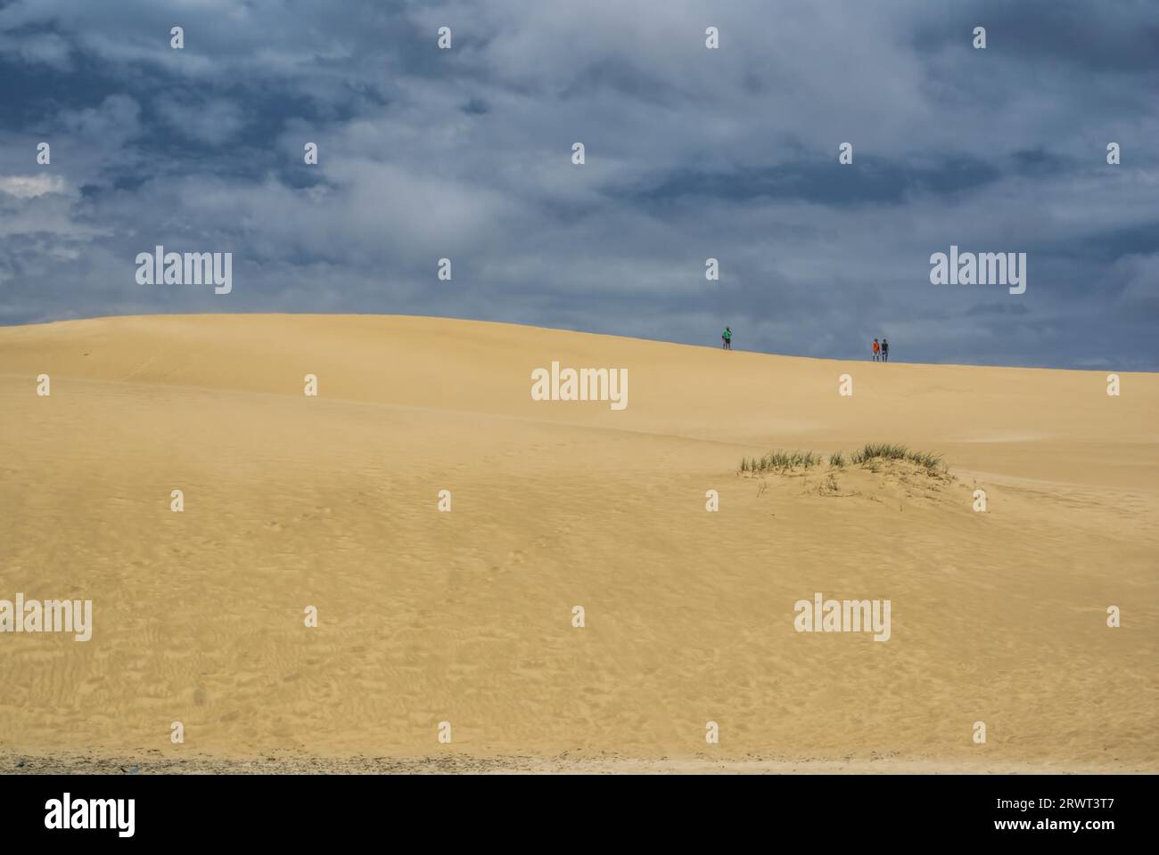 Sanddünen in der Nähe von Cabo Polonio in Uruguay, Südamerika Stockfoto