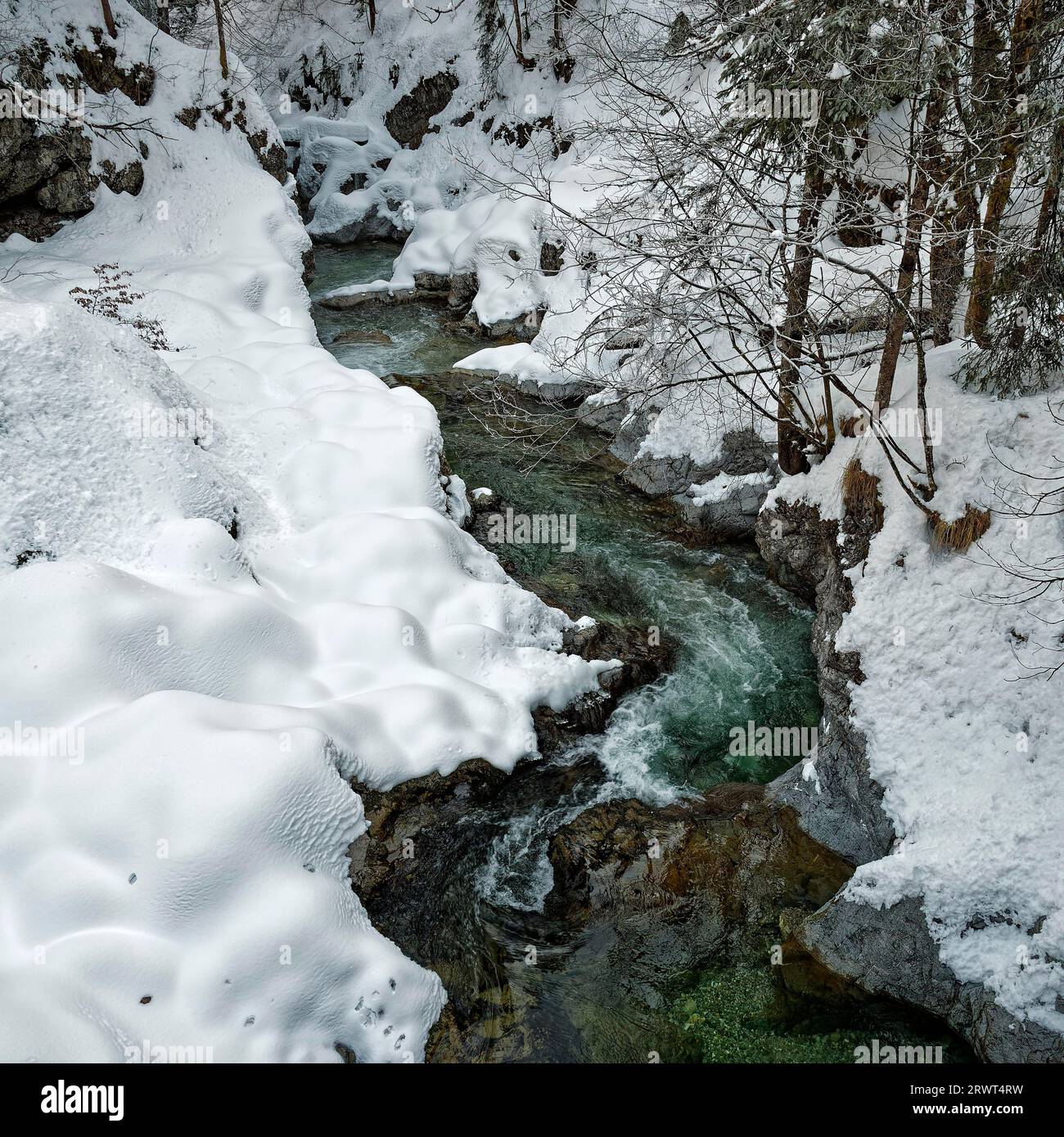 Grüner Bach im weißen Schnee, Winter, Bayern Stockfoto