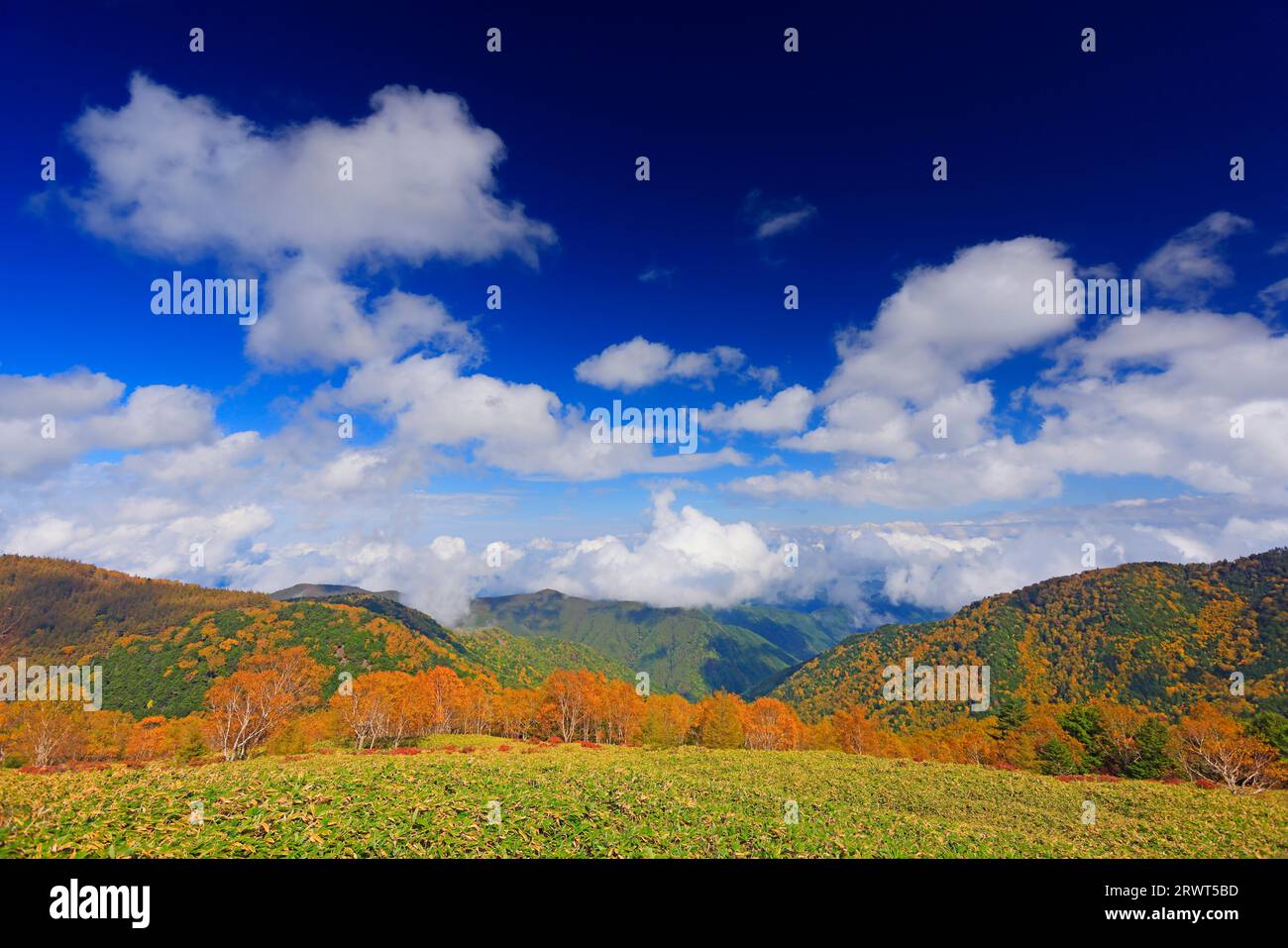 Herbstlaub und Wolken in Richtung Ueda, aus der Nähe des Utsukushi-GA-Hara Nature Conservation Center zu sehen Stockfoto