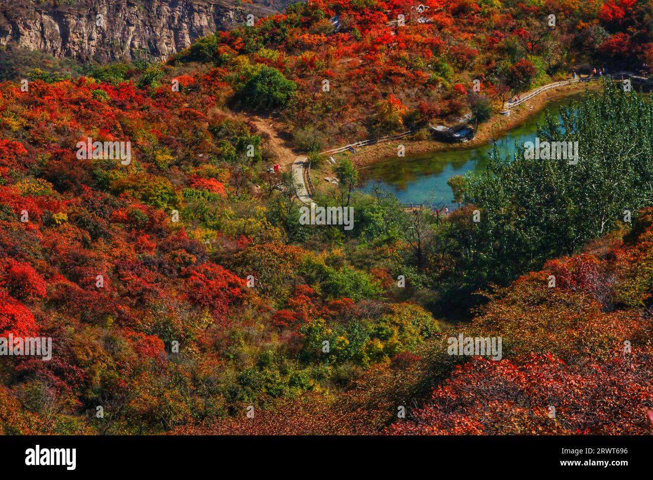Halten Sie die Magie der Natur fest, während leuchtende rote und grüne Gräser atemberaubende Kontraste vor der Kulisse der majestätischen Berge Chinas schaffen Stockfoto