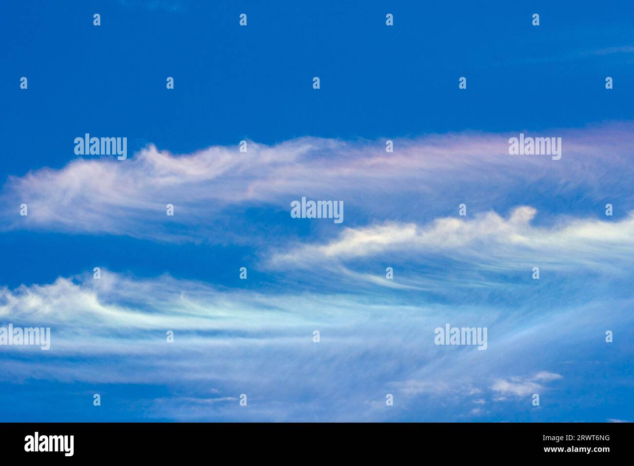 Am Sommerhimmel schimmert eine Zirruswolke in allen Farben Stockfoto