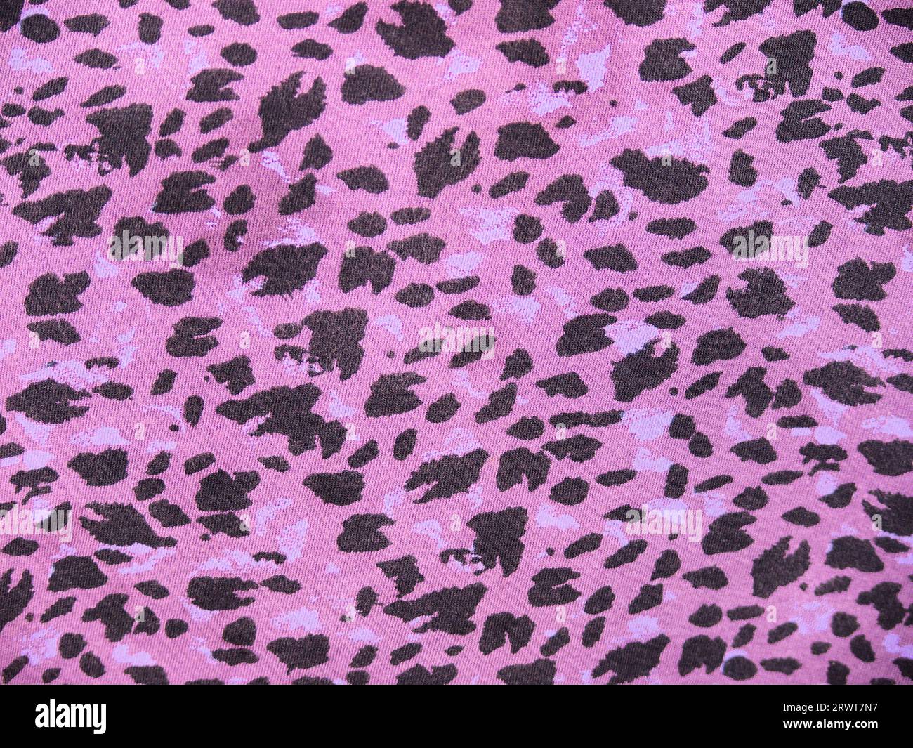 Violettes T-Shirt mit Leopardenmuster Stockfoto