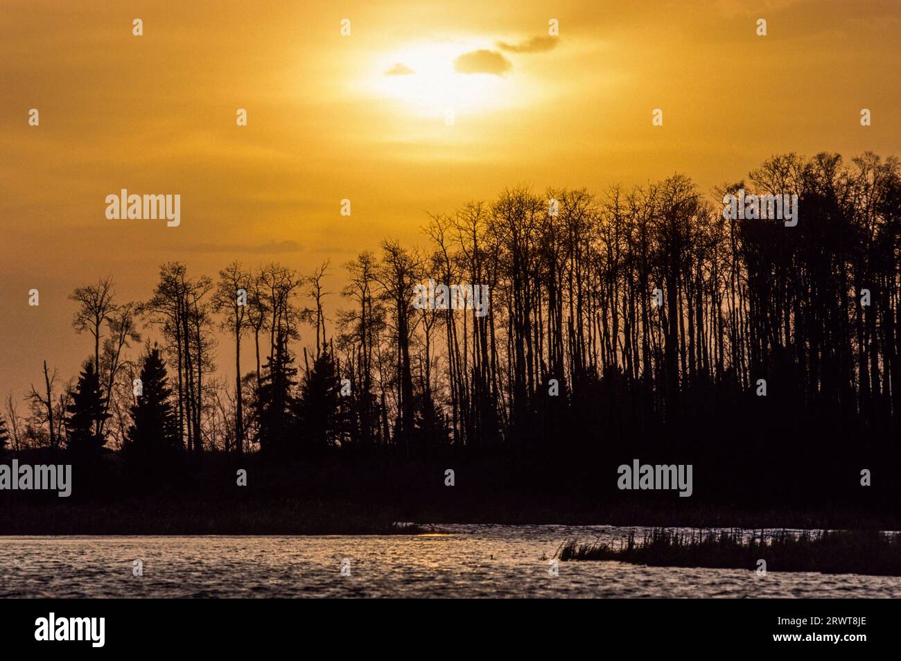 Sonnenuntergang am Lake Astotin, Elk Island National Park, Kanada Stockfoto