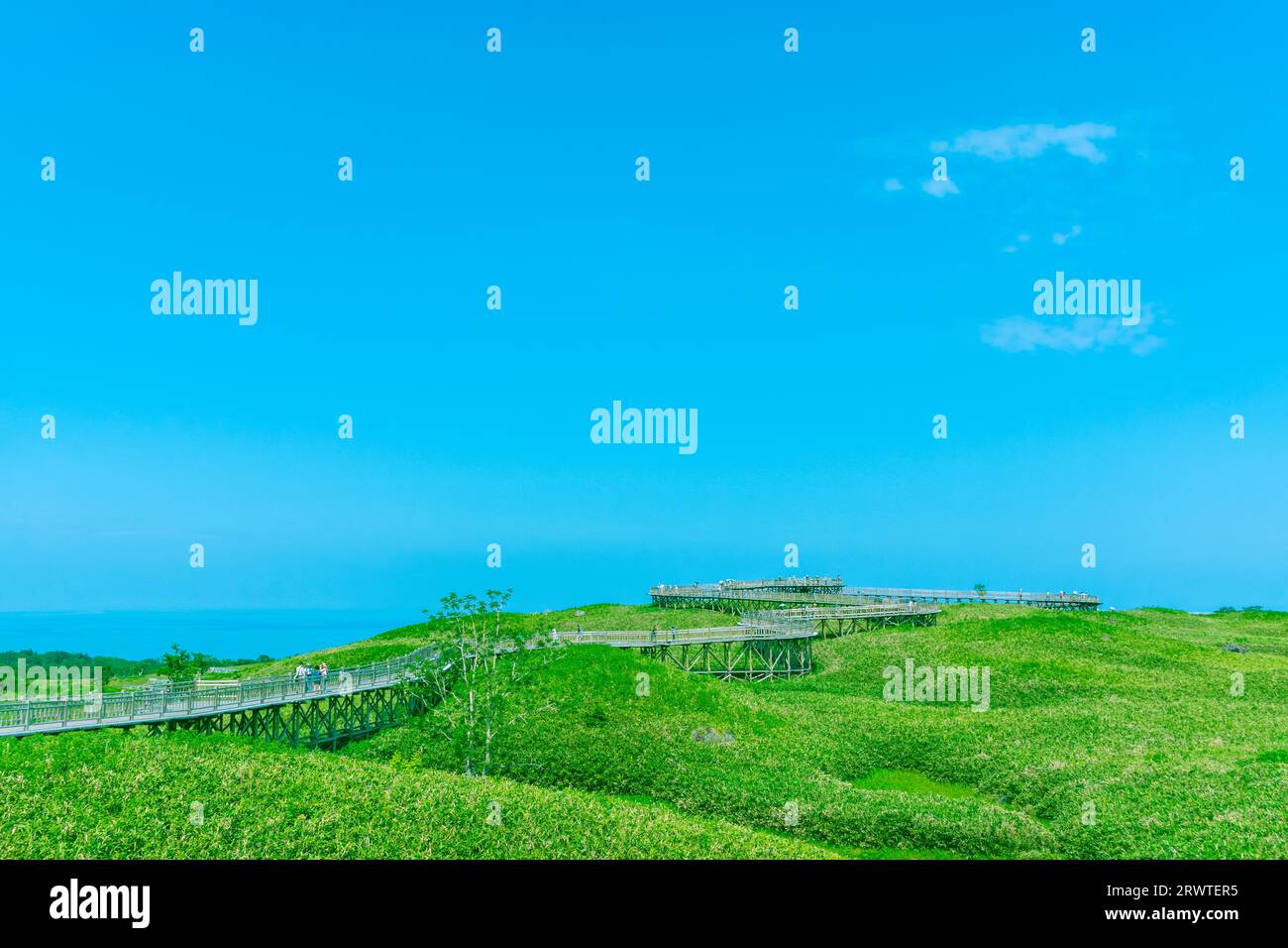 Erhöhter hölzerner Gehweg der Shiretoko Goko Seen Stockfoto