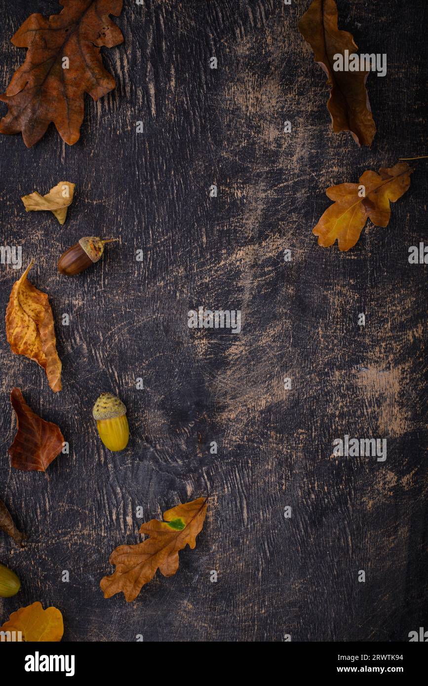 Herbsthintergrund mit trockenen Blättern. Stockfoto