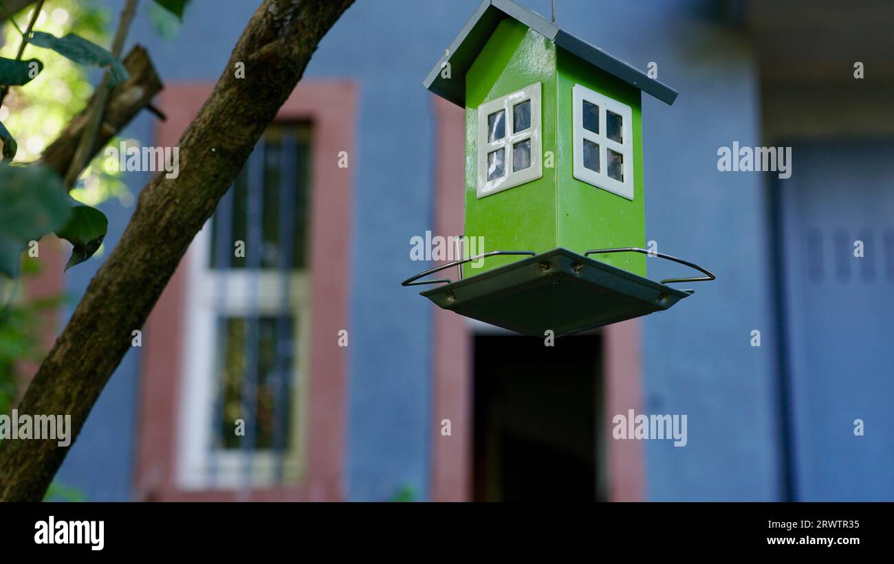 Ein hübsches grünes Vogelfutter mit einem grauen Haus im Hintergrund. Stockfoto