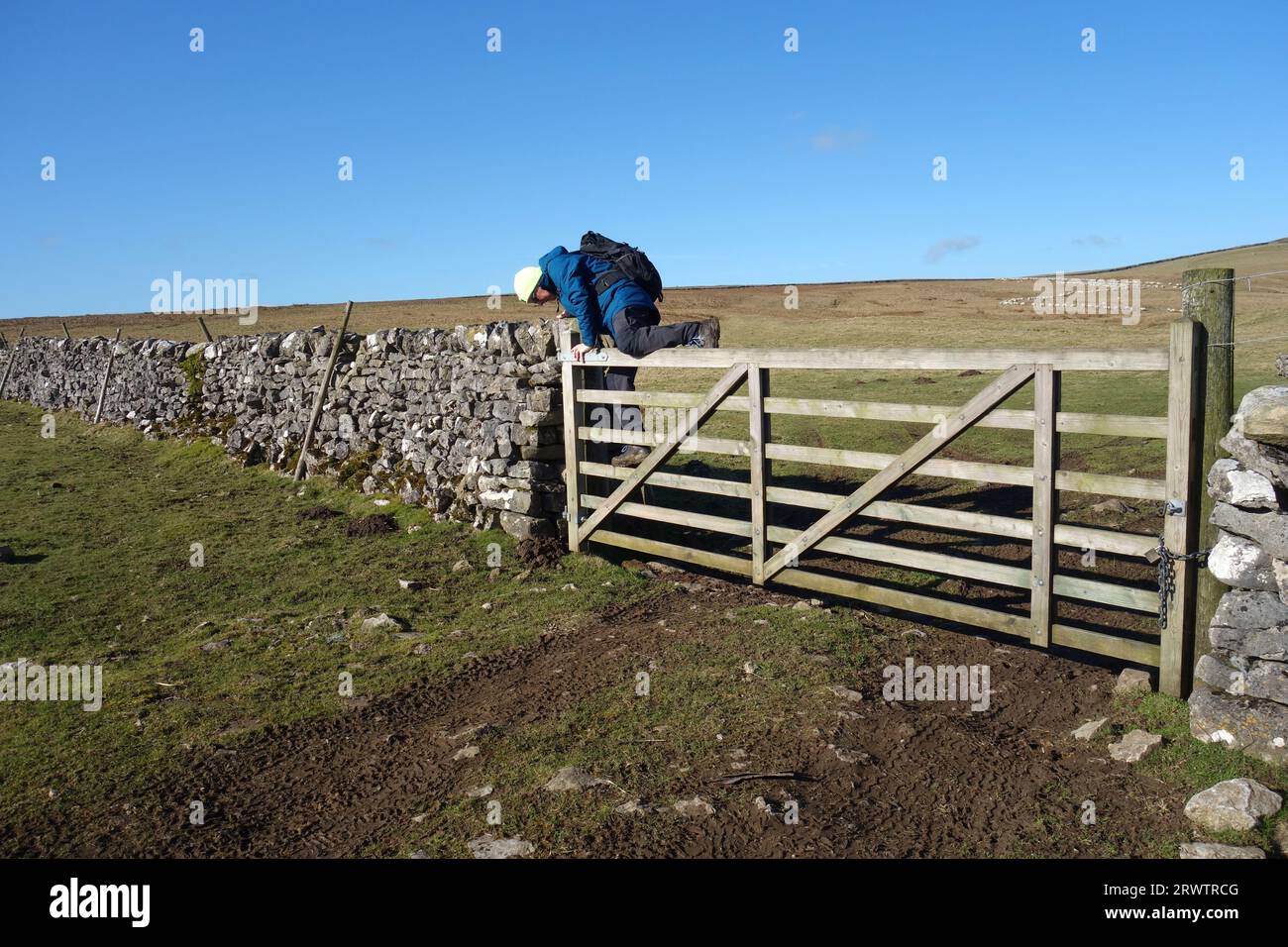 Man (Alte Wanderer) Climbing Wooden Gate on the Mastiles Lane an Old 'Roman Road' in der Nähe von Malham im Yorkshire Dales National Park, England, Vereinigtes Königreich. Stockfoto