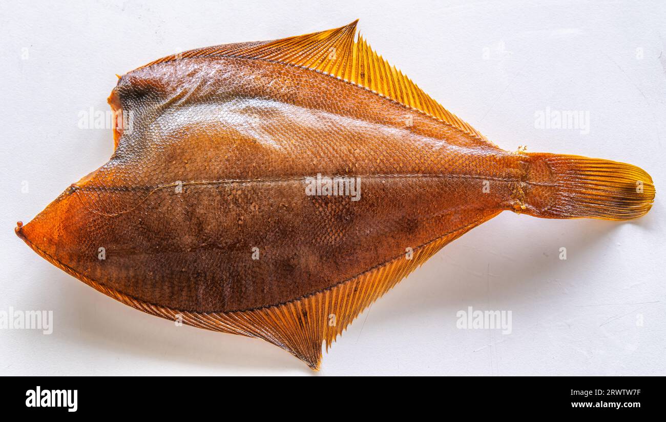 Bakskuld, geräucherter und gesalzener Fisch von der Westküste Dänemarks Stockfoto