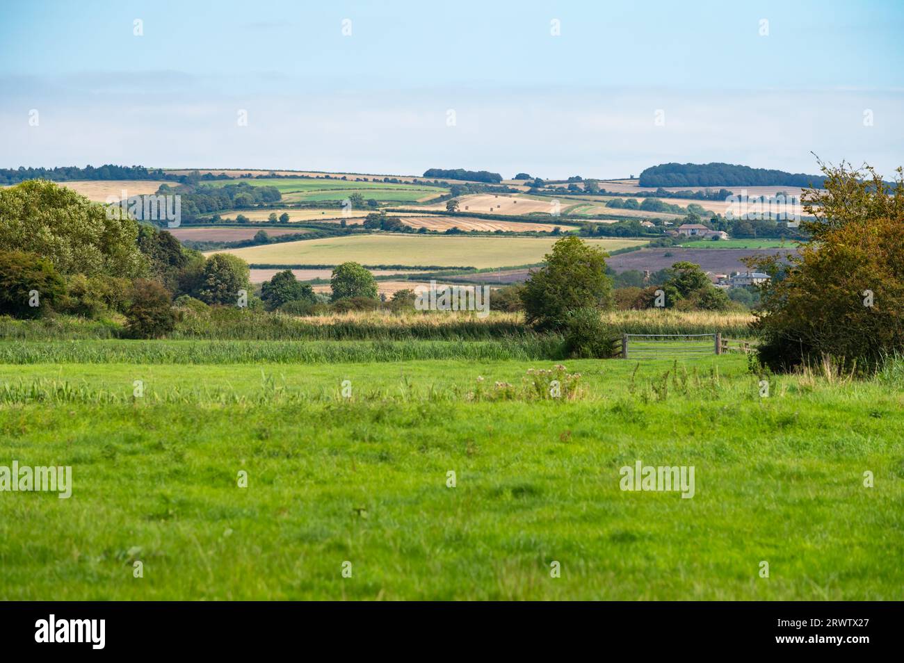 Blick über ein Grasfeld mit Feldern und Hügeln in der Landschaft im Arun Valley, Teil der South Downs in West Sussex, England, Großbritannien. Stockfoto