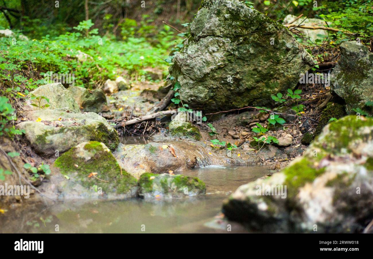 Kleiner Gebirgsbach mit Felsen im Hintergrund Stockfoto