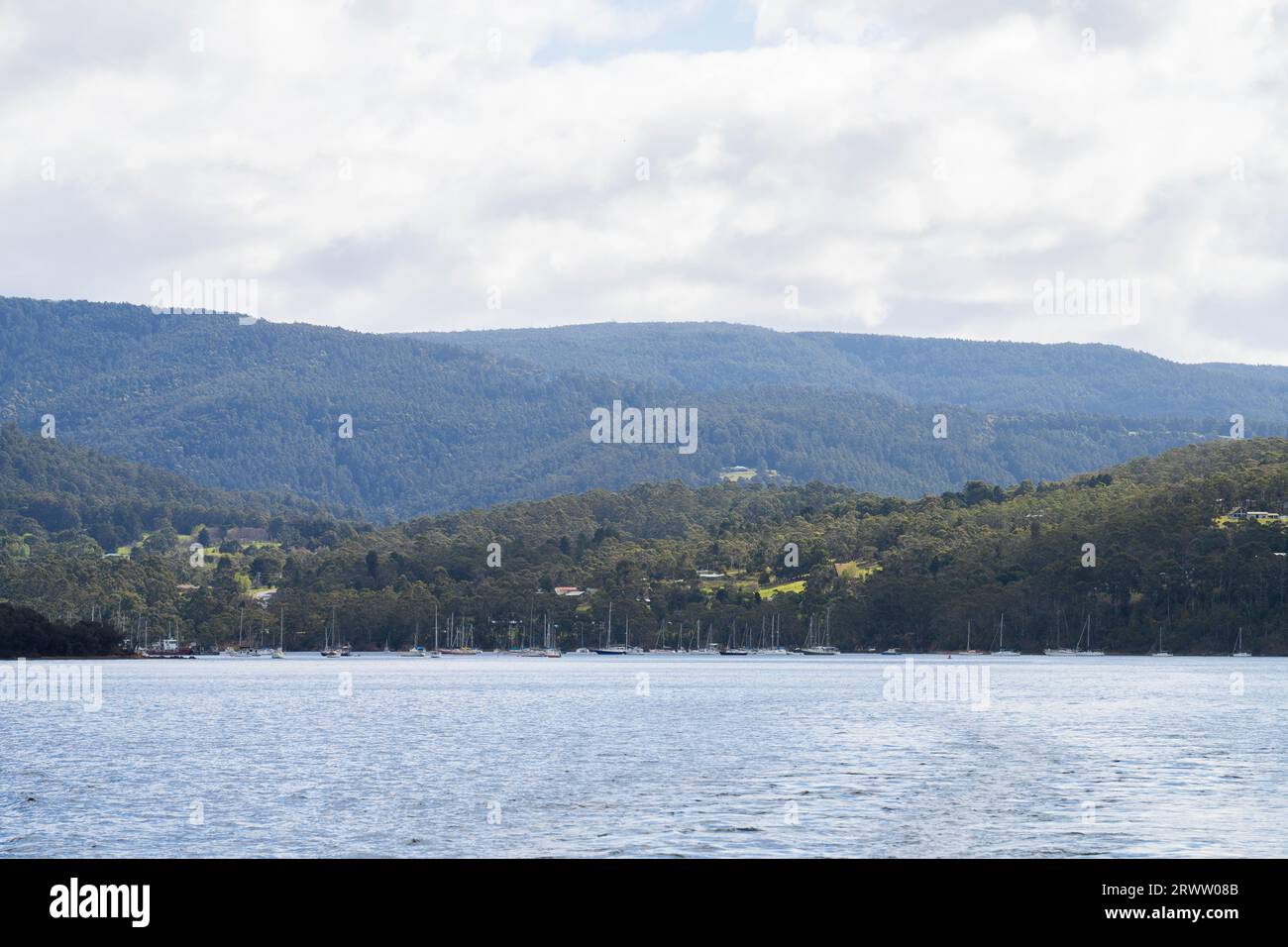 Wald und Farmen aus dem Wasser in tasmanien australien im Frühjahr Stockfoto