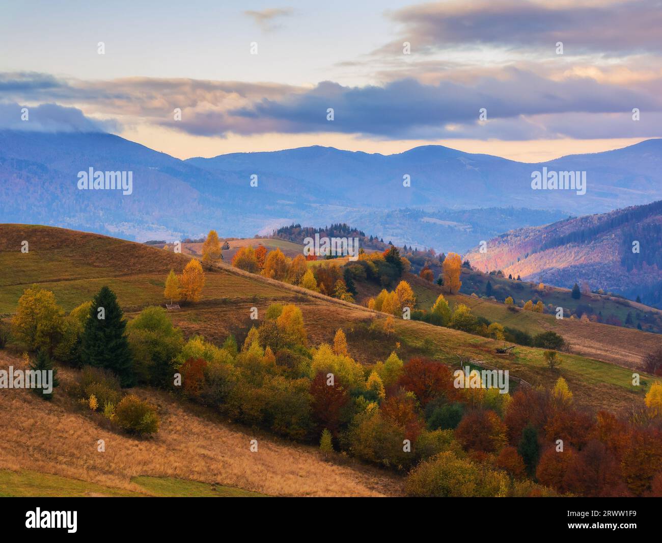 Bergige ländliche Landschaft bei Sonnenaufgang. Landschaft im Herbst im Morgenlicht. Bäume in buntem Laub auf den sanften Hügeln Stockfoto