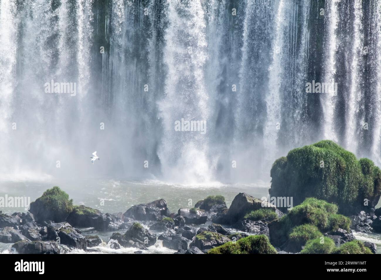 Iguazú Wasserfälle, mächtiger Wasserstrom fällt die Klippen hinunter. Grenze zu Argentinien und Brasilien. Parana Stockfoto