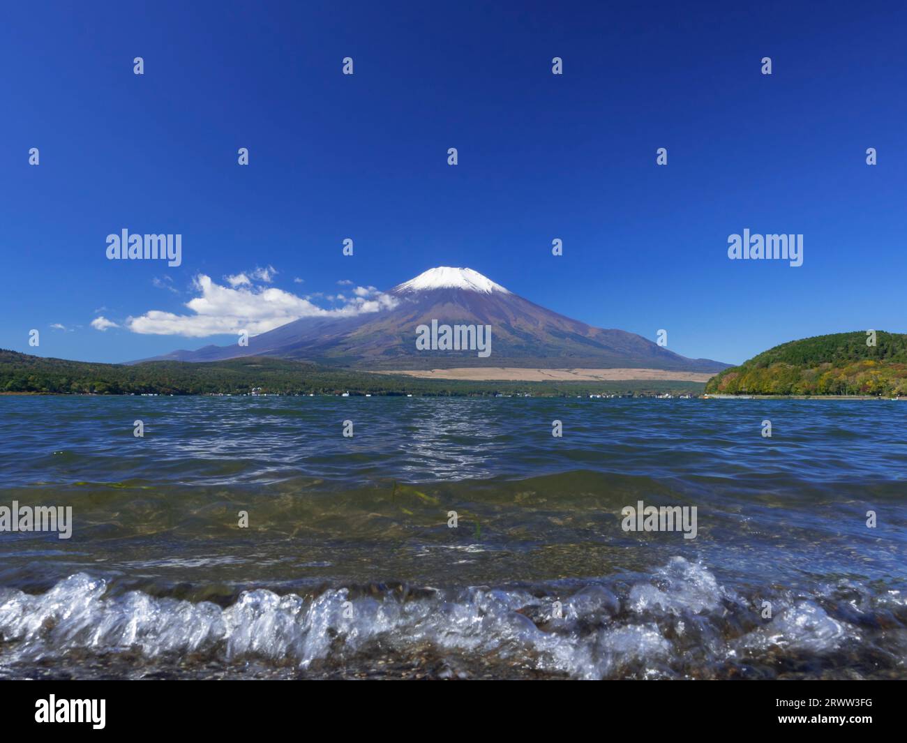 Fuji und Lake Yamanaka mit dem ersten Schnee Stockfoto