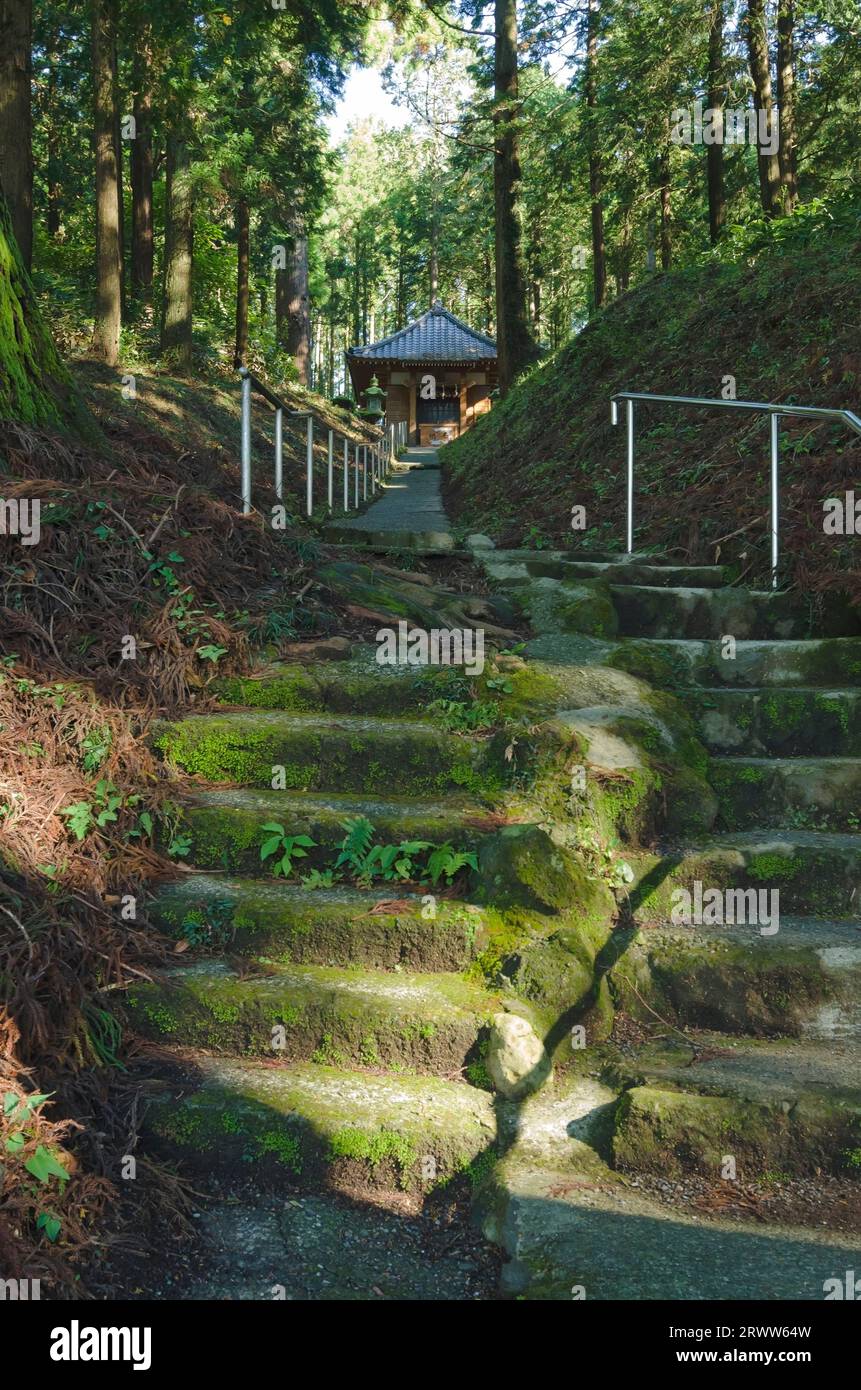 Der Zugang zum Takamine-Souchinsha-Schrein auf der Rückseite des Murayama-Sengen-Schreins Stockfoto