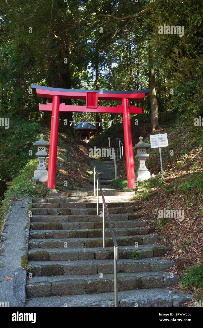 Torii-Tor und Zugang zum Takamine-Soshinmu-Schrein am Murayama-Sengen-Schrein Stockfoto