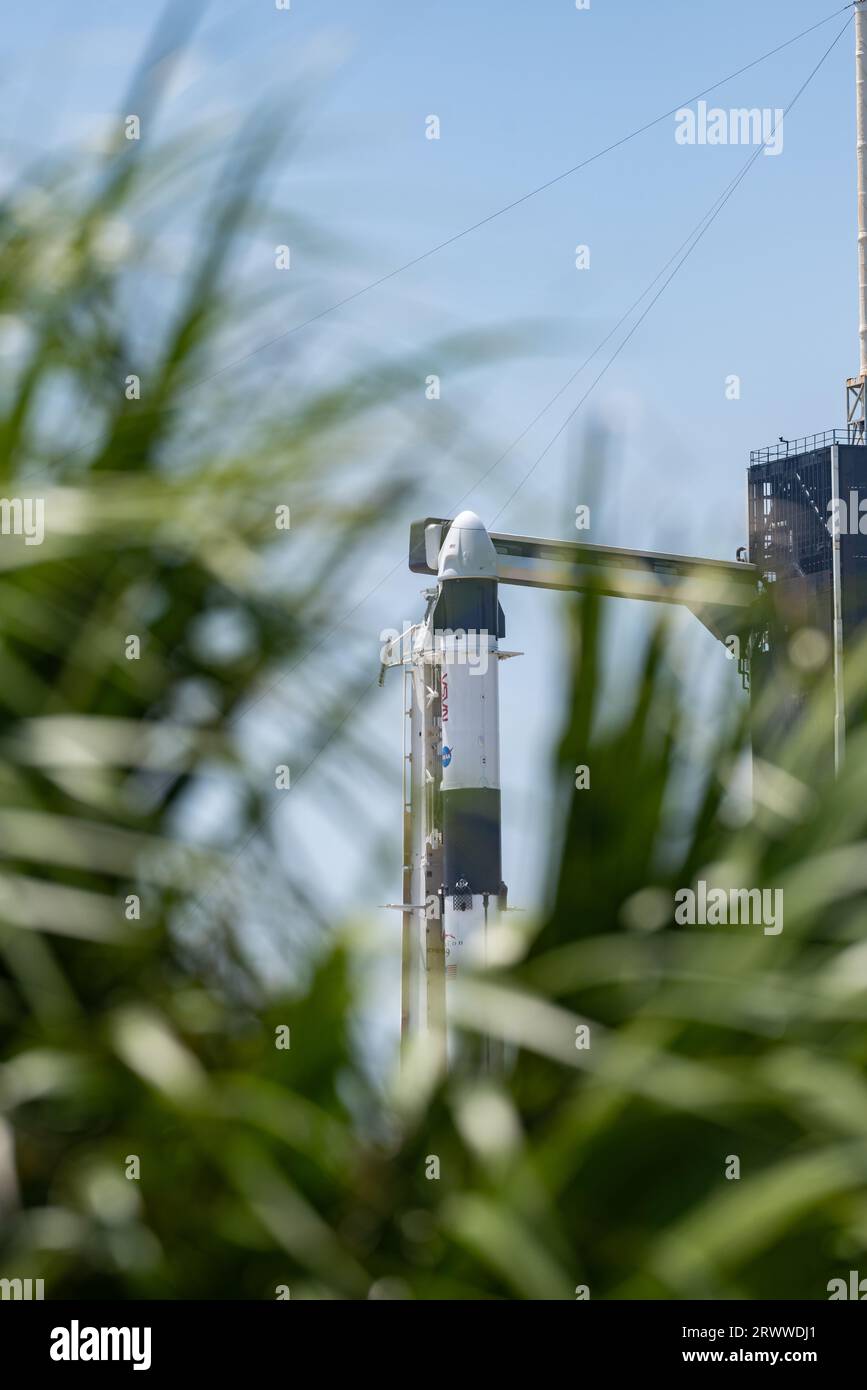 SpaceX Falcon 9 mit Crew Dragon Capsule Stockfoto