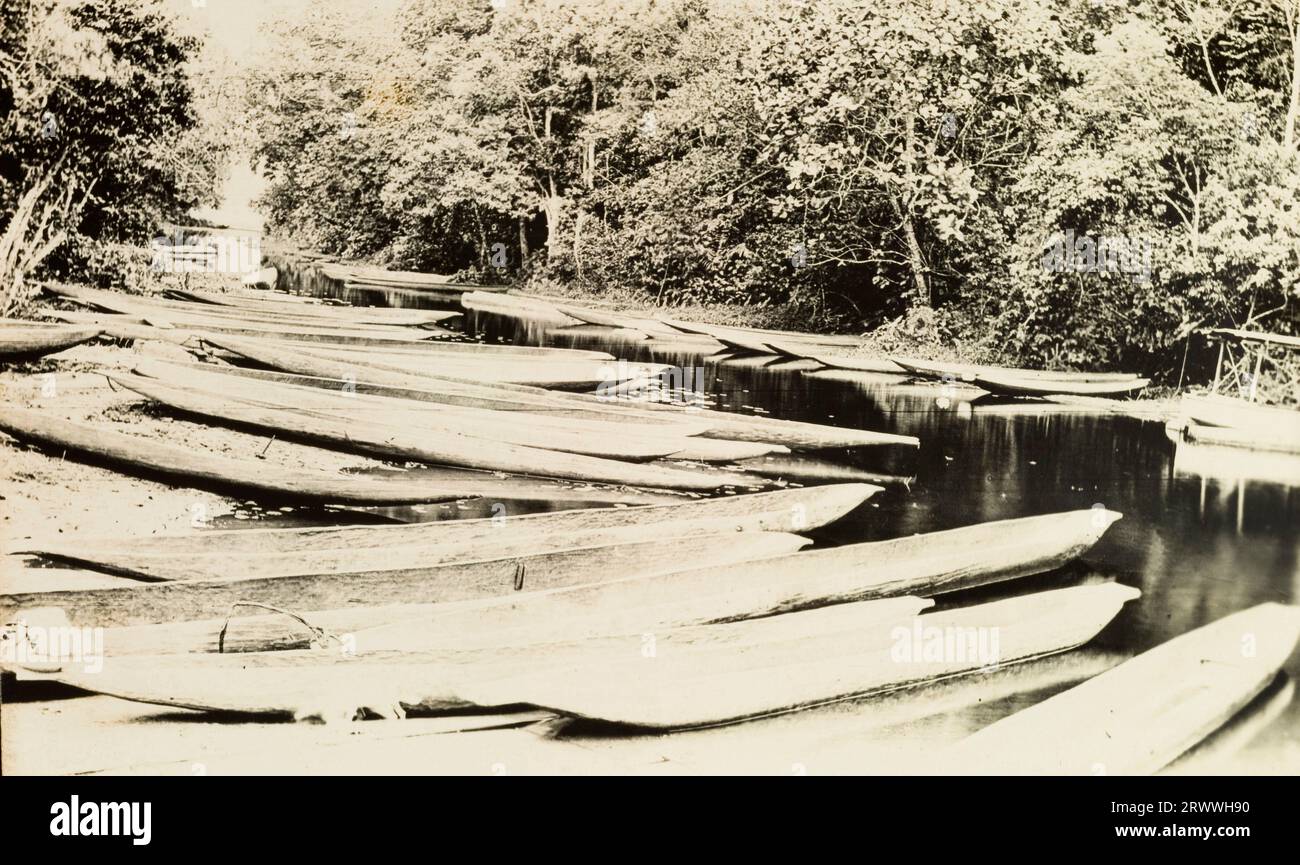 Blick auf einen Fluss mit überhängenden Bäumen und einer großen Anzahl von hölzernen Kanus, die am Ufer ruhen. Stockfoto