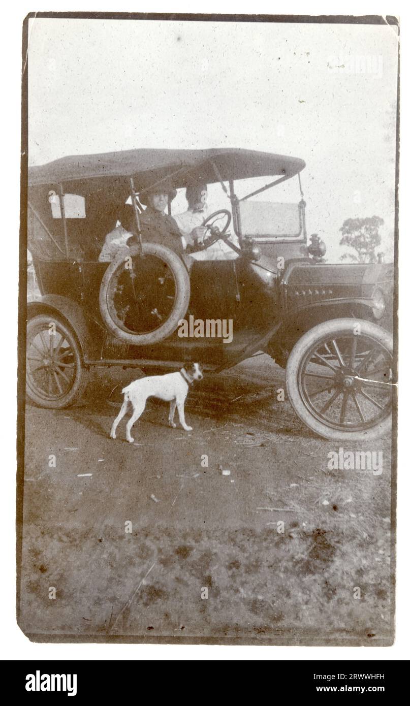 Alfred Tamlin sitzt am Steuer eines Autos mit zwei anderen Männern als Passagieren. Ein Hund sitzt neben ihnen. Originaltitel: At Aruse - Gold Coast. September 18. Stockfoto