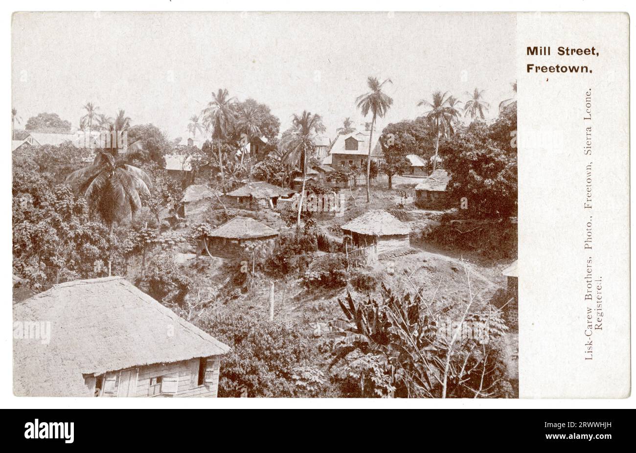 Postkartenansicht der Mill Street in Freetown mit kleinen Häusern, die zwischen hohen Bäumen und größeren Gebäuden im Kolonialstil im Hintergrund liegen. Gedruckte Beschriftung: Mill Street, Freetown. Stockfoto