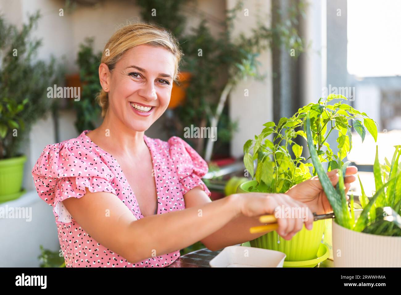 Glückliche Frau, die zu Hause auf dem Balkon im Garten arbeitet. Sie kümmert sich um ihre Aloe-Vera-Pflanze. Stockfoto