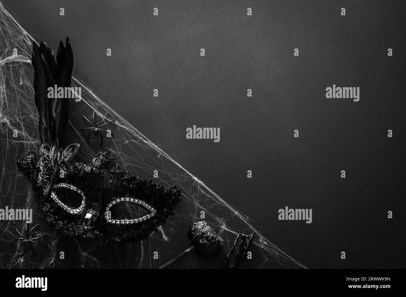 Halloween-Party-Konzept mit schwarzer Party-Fancy-Maske auf Spinnennetz mit schwarzem Hintergrund. Stockfoto