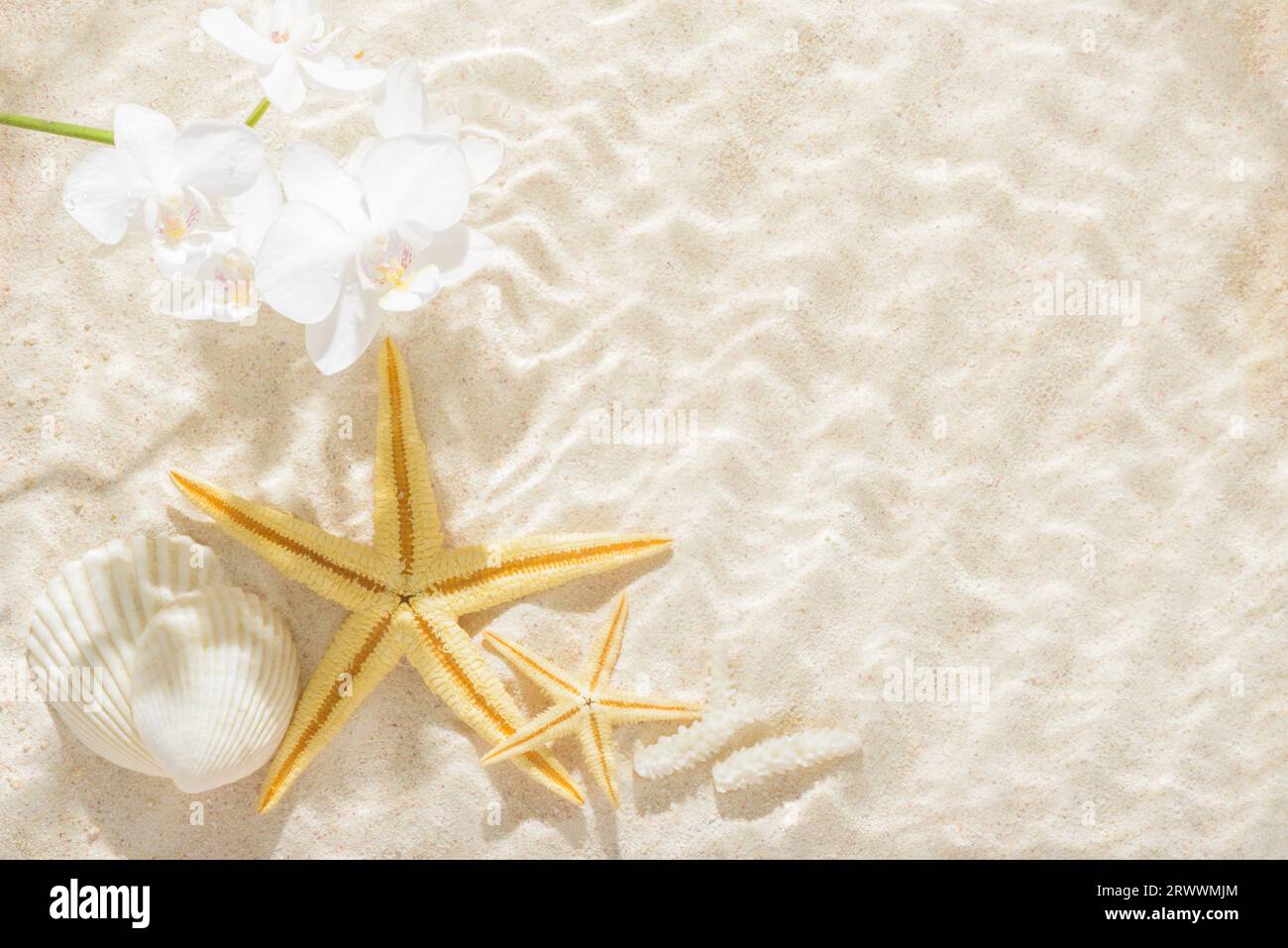 Sonnenlichter mit hartem Schatten im Wellenwasser auf abstraktem Sandhintergrund mit Orchidee, Muschel, Seesterne, wunderschönes abstraktes Spa-Konzept-Banner von Sea Par Stockfoto