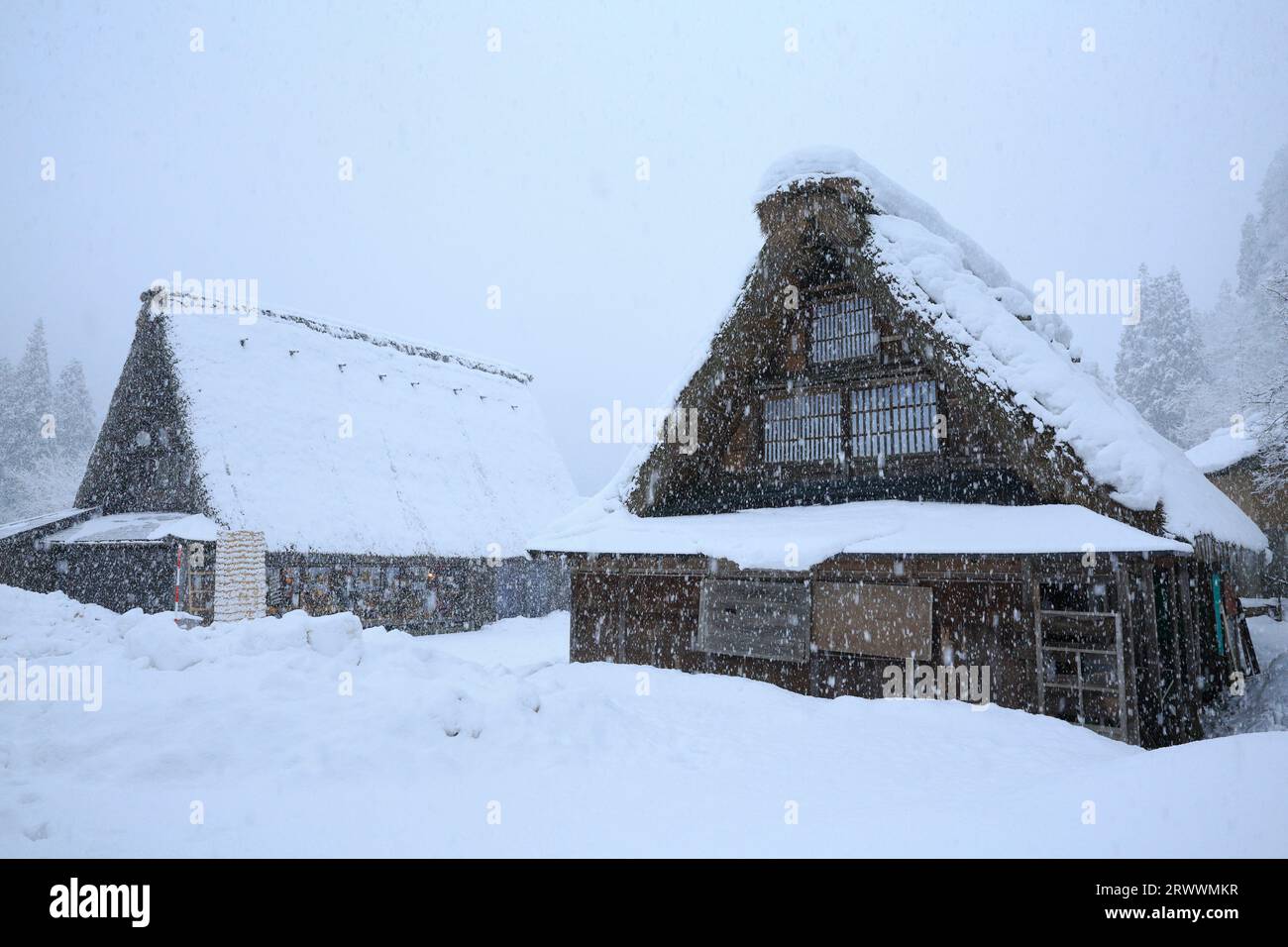 Suganuma Village, Gokayama im Schnee Stockfoto