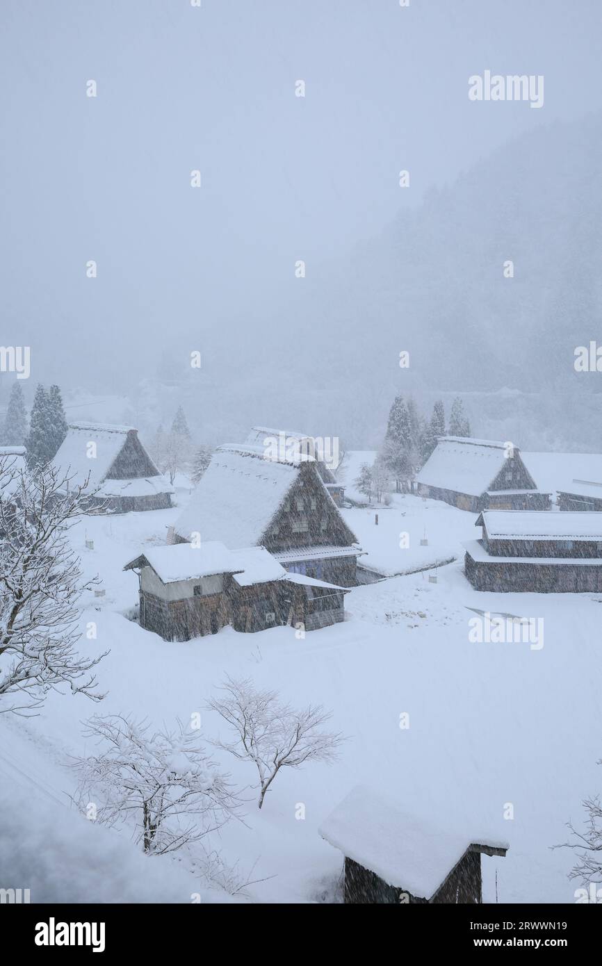 Suganuma Village, Gokayama im Schnee Stockfoto