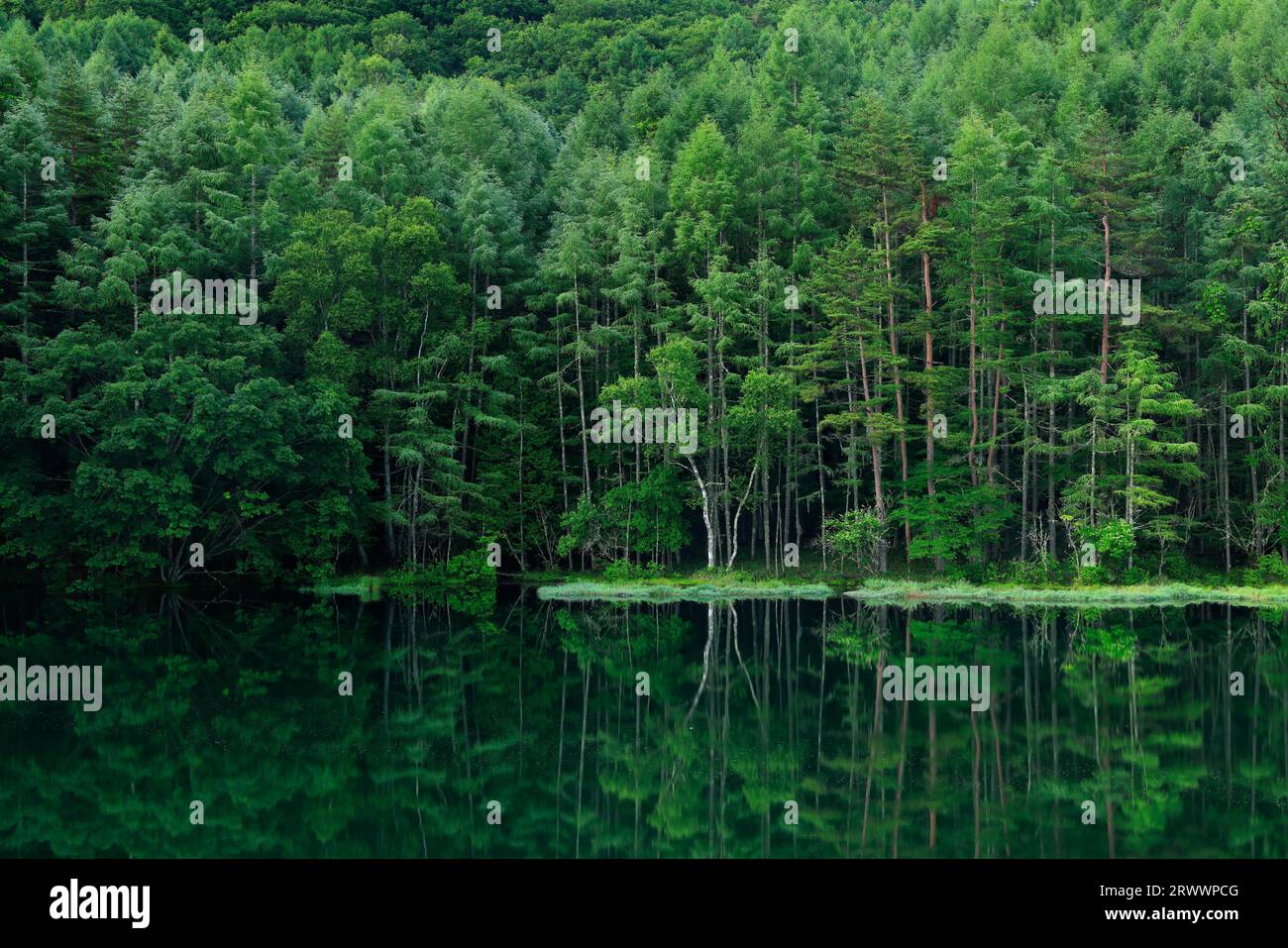 Oshikajike am Morgen Nagano Pref. Stockfoto