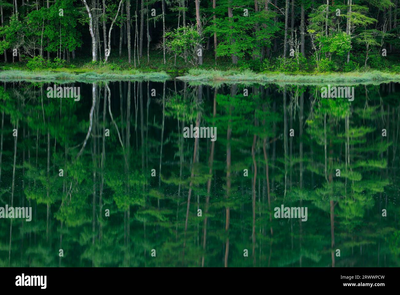 Oshikajike am Morgen Nagano Pref. Stockfoto