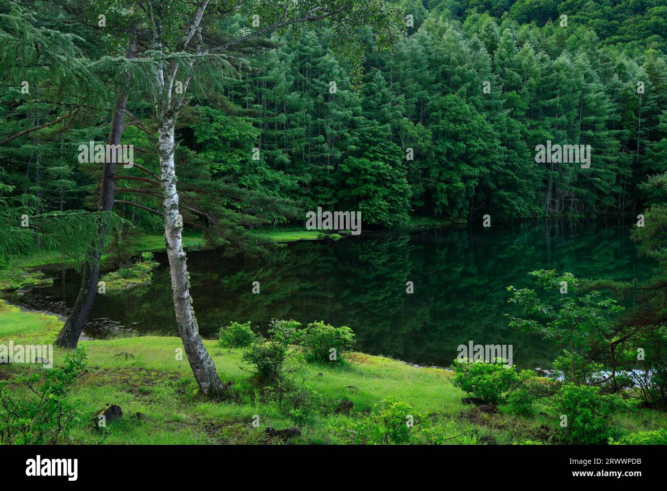 Oshikajike am Morgen Nagano Pref. Stockfoto