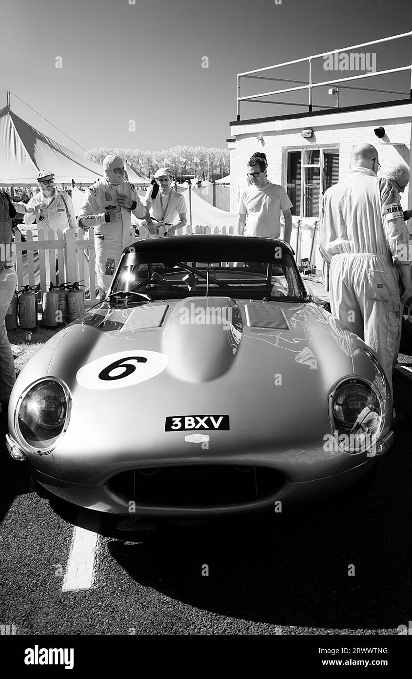 1961 Jaguar E-TYPE, „halbleicht“, angetrieben von Joaquin Folch-Rusinol/Pedro de la Rosa beim Royal Automobile Club TT Celebration Race at the Go Stockfoto