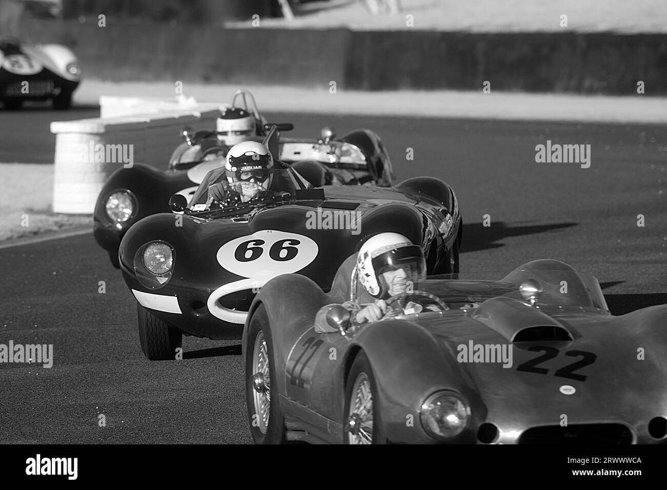 1955 Jaguar D-TYPE „Long Nose“ von John Young im Sussex Trophy-Rennen beim Goodwood Revival Meeting am 10. September 2023 in Chichester, England. © Stockfoto