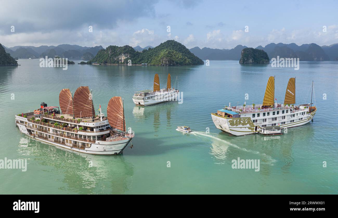 Die Landschaft der Halong-Bucht aus der Vogelperspektive, Hạ lange Kreuzfahrtschiffe, die zwischen Kalksteinfelsen aus türkisfarbenem Wasser ankern, Vietnam-Junks mit Segeln Stockfoto