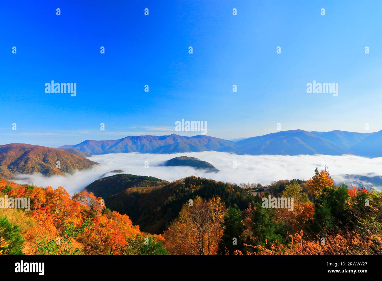 Shirakawa-Go White Road, Sea of Clouds und Mountain Range im Herbst Stockfoto