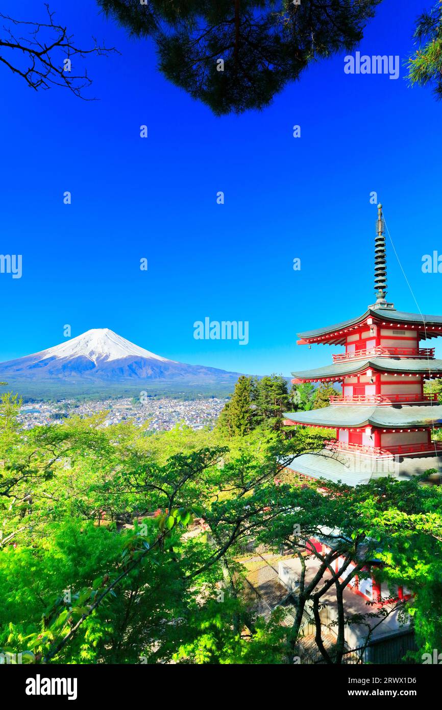 Mt. Fuji mit frischem Grün und Schnee auf der fünfstöckigen Pagode vom Niikurayama Sengen Park Stockfoto