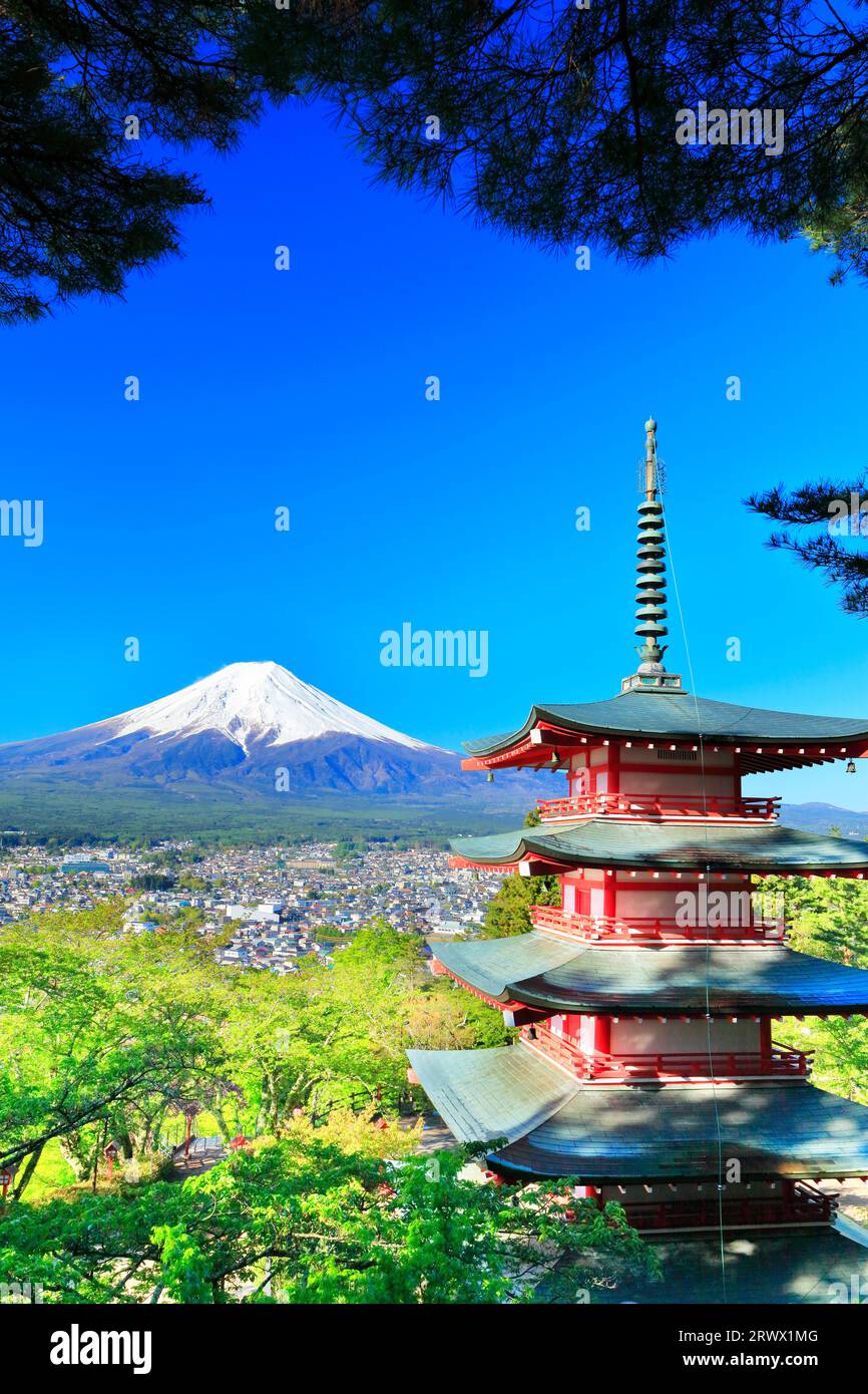 Mt. Fuji mit frischem Grün und Schnee auf der fünfstöckigen Pagode vom Niikurayama Sengen Park Stockfoto