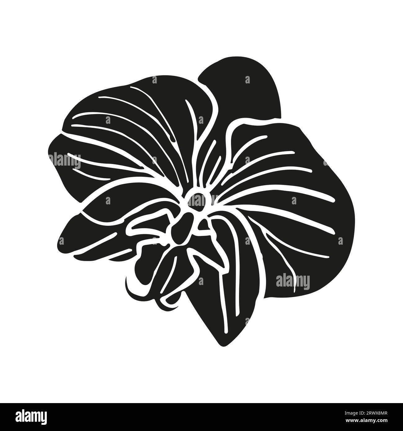 Orchideensilhouettenkopf mit tropischen Blüten. Vektor Hand gezeichnete Illustration für das Design der Karte oder Einladung, Logo. Stock Vektor