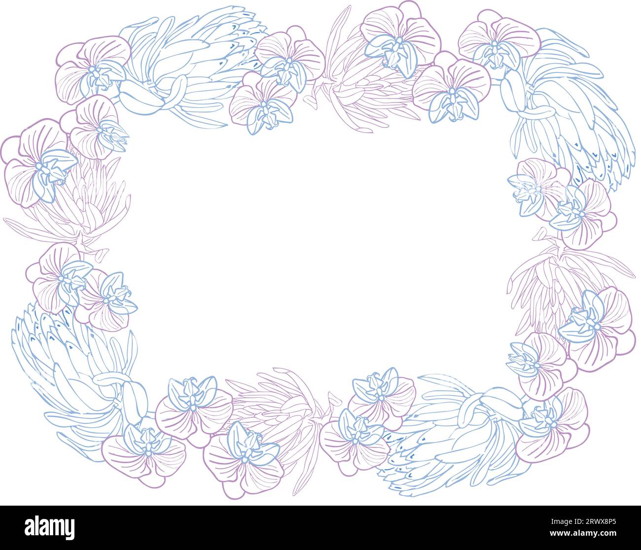 Tropischer König Protea und Orchideenblumenrahmen, handgezeichneter Blumenkopf in Pastellblau und Rosa. Vektorhintergrund für Karte oder Invit Stock Vektor