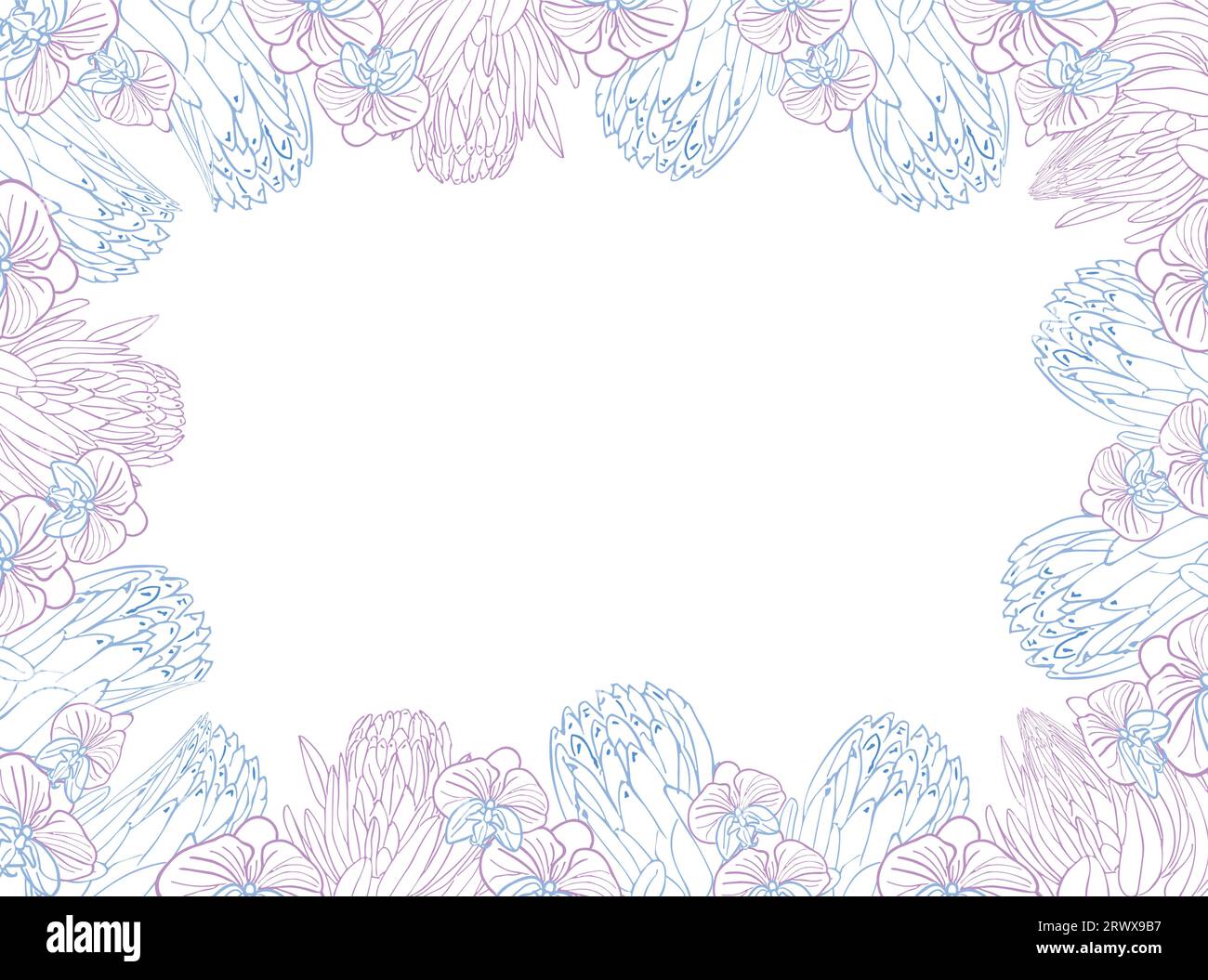 Tropischer König Protea und Orchideenblumenrahmen, handgezeichneter Blumenkopf in Pastellblau und Rosa. Vektorhintergrund für Karte oder Invit Stock Vektor