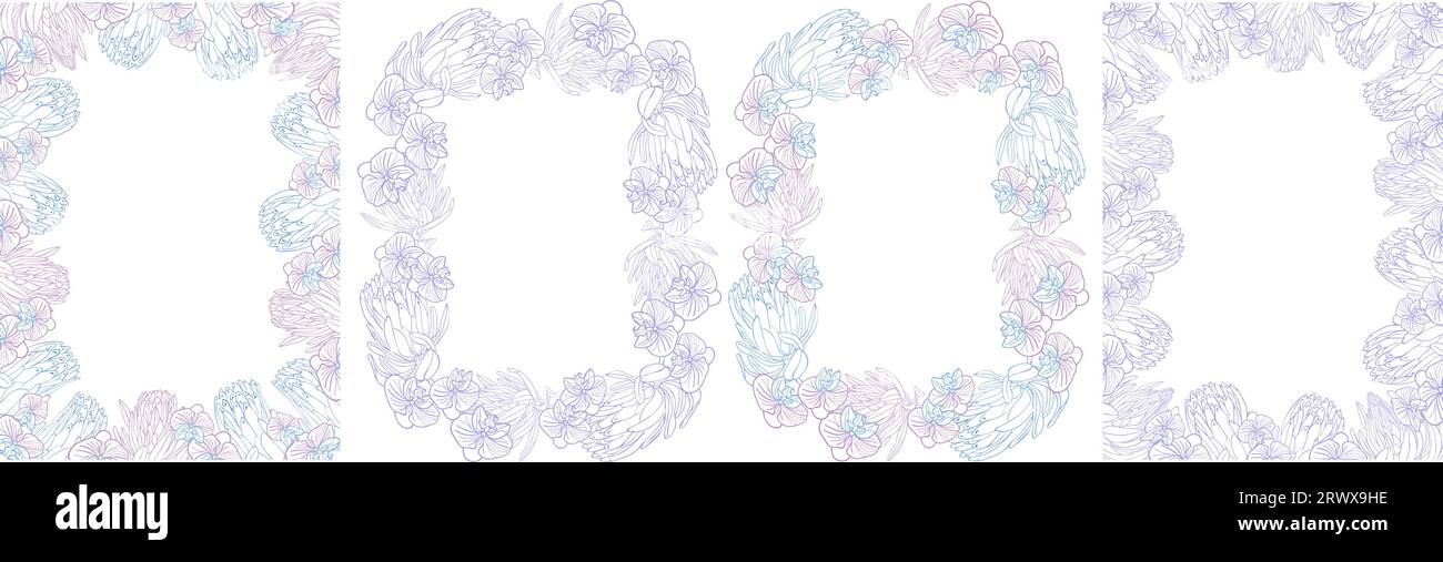 Tropischer König Protea und Orchideenblütenrahmen, handgezeichneter Blumenkopf in Pastellblau und Rosa. Vektorhintergrund für Karte oder Einladung Stock Vektor