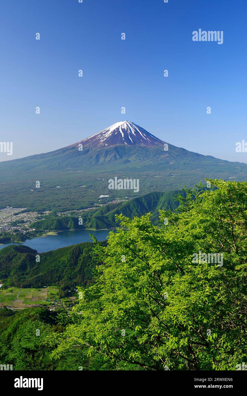 Fuji im Frühsommer und frisches Grün von der Bergkette der Misaka Mountains aus gesehen Stockfoto