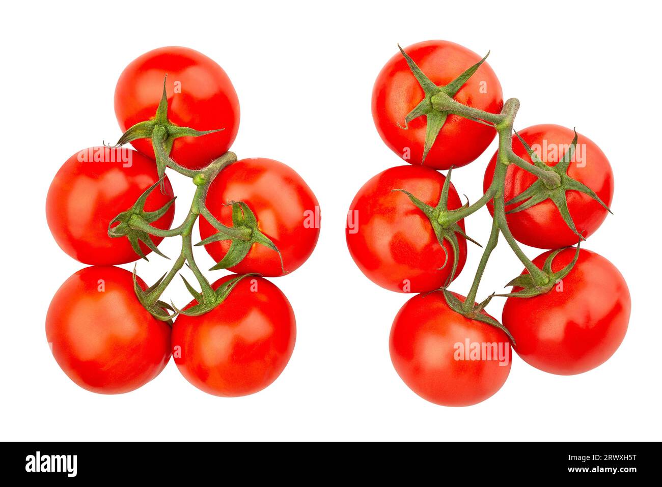 Tomate Zweig Pfad isoliert auf weißem Stockfoto