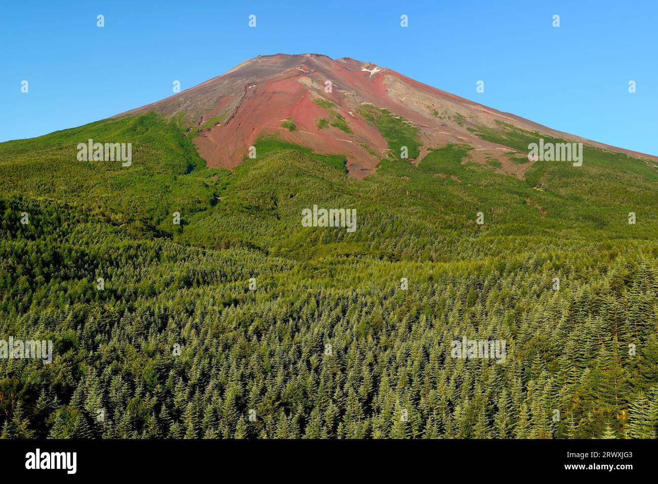 Yamanashi Mt. Fuji im Sommer vom Hügel aus gesehen Stockfoto