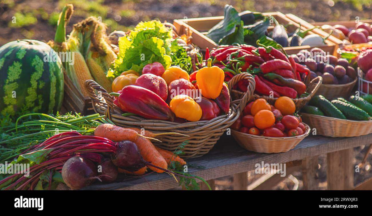 Obst und Gemüse auf dem Bauernmarkt. Selektiver Fokus. Essen. Stockfoto
