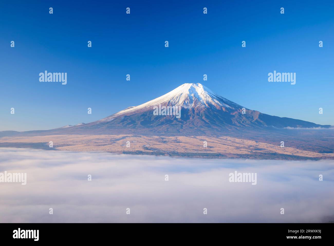 Yamanashi Mt. Fuji über dem Wolkenmeer Stockfoto