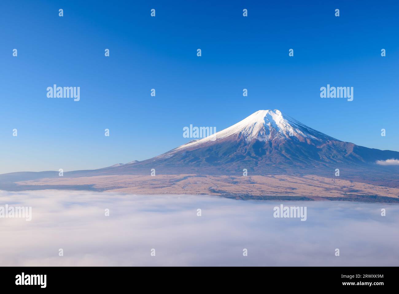 Yamanashi Mt. Fuji über dem Wolkenmeer Stockfoto