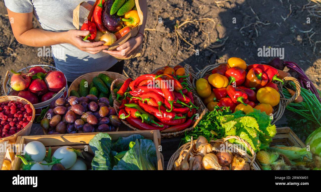 Eine Frau kauft Obst und Gemüse auf einem Bauernmarkt. Selektiver Fokus. Essen. Stockfoto
